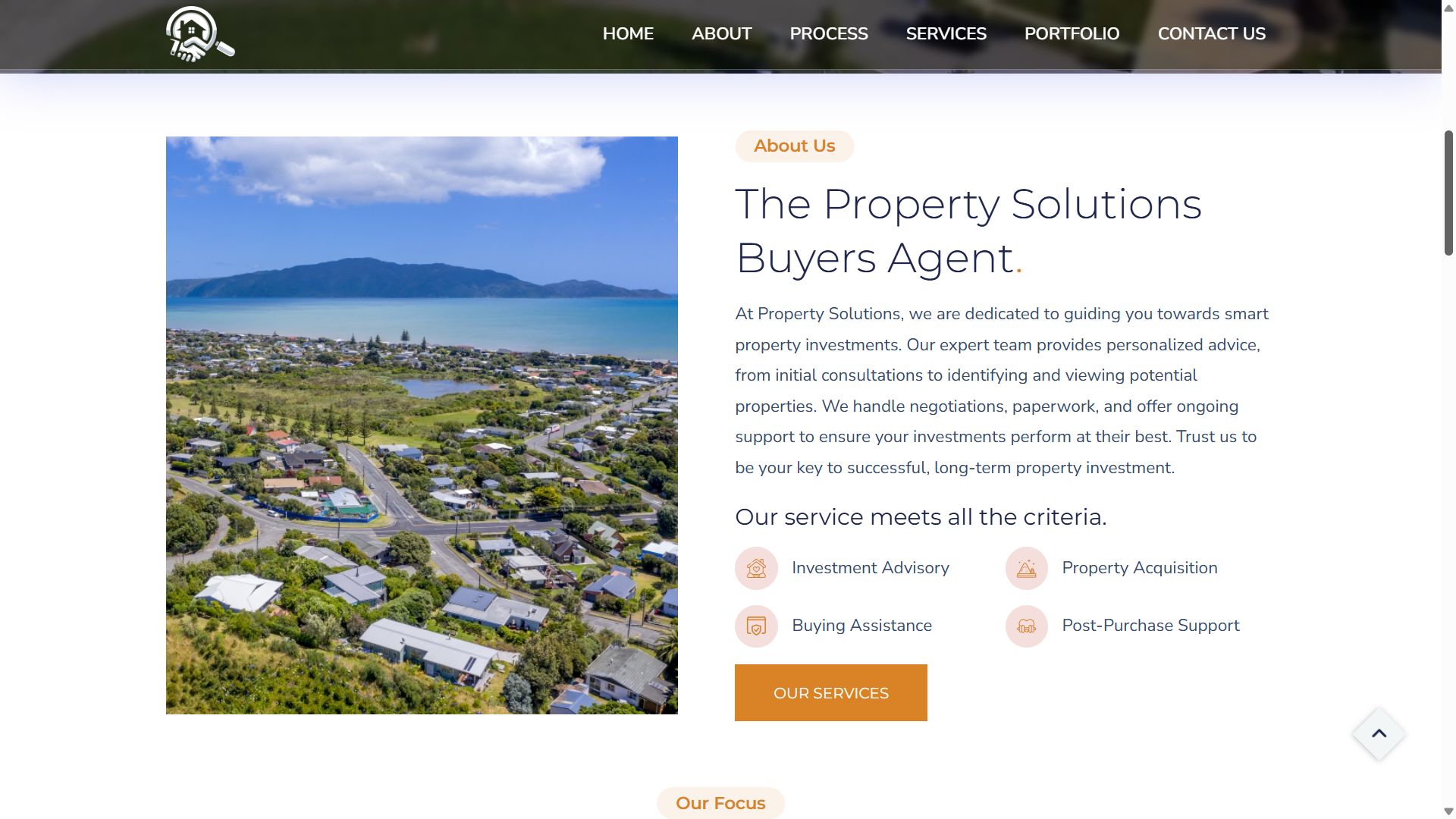Property Solutions Buyers Agent website screenshot by OSS Infotech